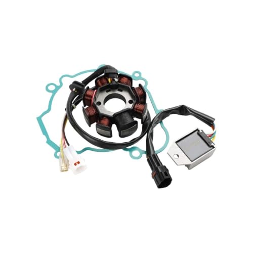 Joint de régulateur de stator d'allumage pour moto Beta RR 300 250 2T
