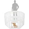 Product Photo 2