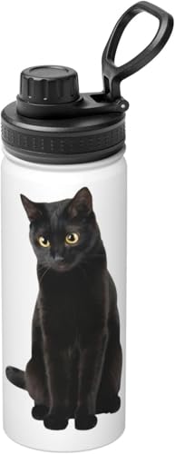  L L ʔ ˂  ^fM ۉ ۗ X|[c{g lC XeX{g X|[cΉ RȂ 530ml j̎q ̎q  l q Aj ObY LN^[ v[g v6gb148