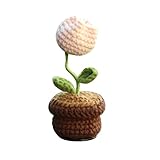 Matériau : les ornements de plantes en pot sont tissés avec de la laine de haute qualité, de bonne qualité, sans odeur, agréables au toucher, durables et résistants à l'usure, une utilisation à long terme n'est pas facile à estomper.
