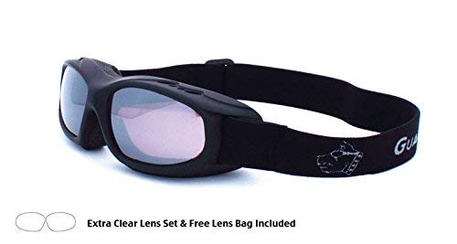 Guard-Dogs, Aggressive EyewearEvader 1 Matte Black Plum Mirror/Clear w/FogStopper 2 Lens Set