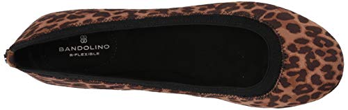 Image of Bandolino Edition 8