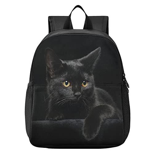 [SAMAU] bN LbY L L 킢 bNTbN q ̎q j̎q ct ۈ牀 wN  y h j S