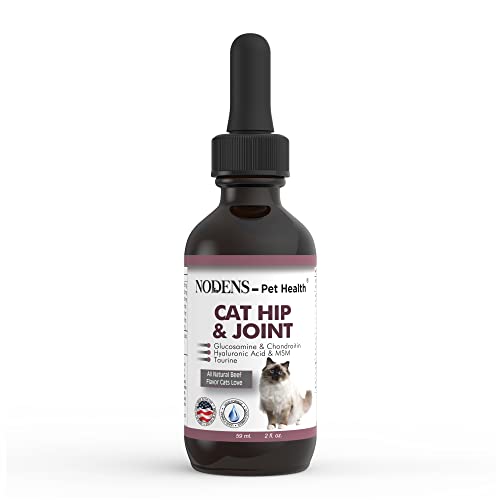 Top 10 Cat Bed For Arthritis of 2022 Katynel