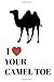 I Love Your Camel Toe