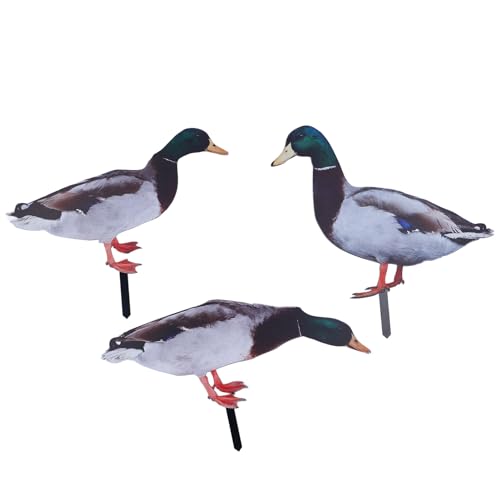 WIHFHGZ Decorazione Stele Giardino Anatra in Acrilico, Resistente Alle Intemperie, Facile Da Installare - Design 3D Realistico, Scultura per Prato, Balcone e Cortile (KLU072A+B+C)