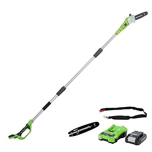Greenworks Cordless long reach Pole Saw with 2Ah battery and charger + Guide Bar for Chain Saw (20 cm Oregon Bar)