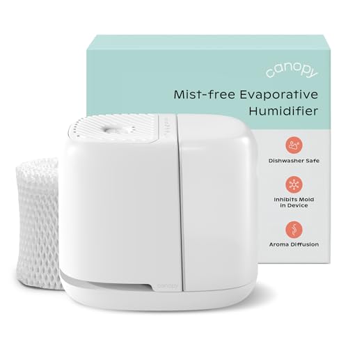 Canopy Bedside Humidifier 2.0, White