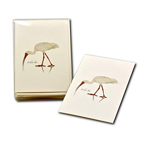 Image of Earth Sky + Water - White Ibis Notecard Set - 8 Blank Cards with Envelopes