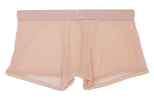 Men's Comfortable Mesh Transparent Pouch Boxer Briefs Trunks Underwear2