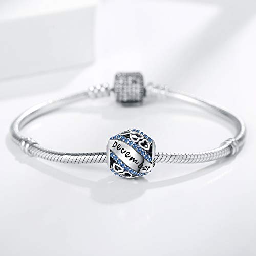 Birthstone Charms for Charms Bracelet 925 Sterling Silver Bead Openwork Charms Fit Pandora Charms Bracelet, Fit Women Wife Mom Christmas Birthday Gift3