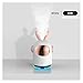 Nawilżacze do sypialni Mini Space Królik Ultradźwiękowy Nawilżacz Desktop Cute Decoration Night Light Mist Maker 350ml Dyfuzor wody Nawilżacze do domu (Color : White USB)