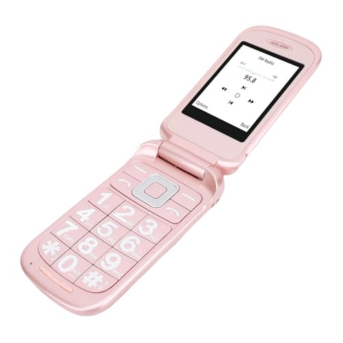 ASHATA Téléphone Portable 2G à Clapet pour Seniors, débloqué, Double SIM, écran Principal de 2,8 Pouces et écran Externe de 1,77 Pouce, Touche SOS,...
