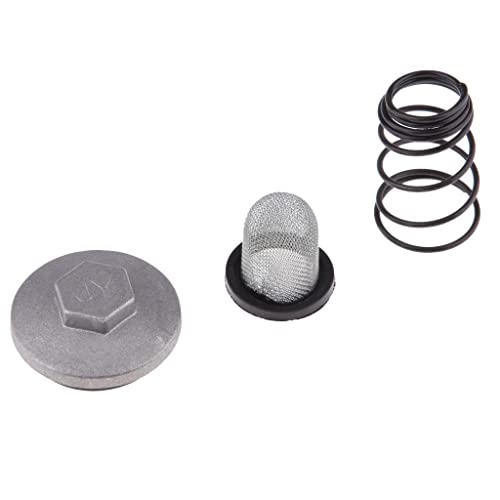 Almencla 1 Satz GY6 Ölfilter & Ablassschraube Federsatz 50ccm 80ccm 125ccm 150ccm