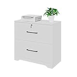 2 Drawer File Cabinet with Lock, Wooden Lateral Storage Home Office Filing Cabinet with Anti-tilt Me