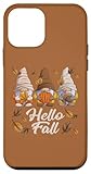 bonjour iphone download Installation facile Bonjour l\'automne, Gnomes d\'automne amusants, Feuilles Coque pour iPhone 12 mini