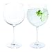 Price comparison product image Dartington Crystal Wine and Bar, Copa Gin and Tonic, 2 Pack, Crystal, 22 x 11.5 x 21.5 cm