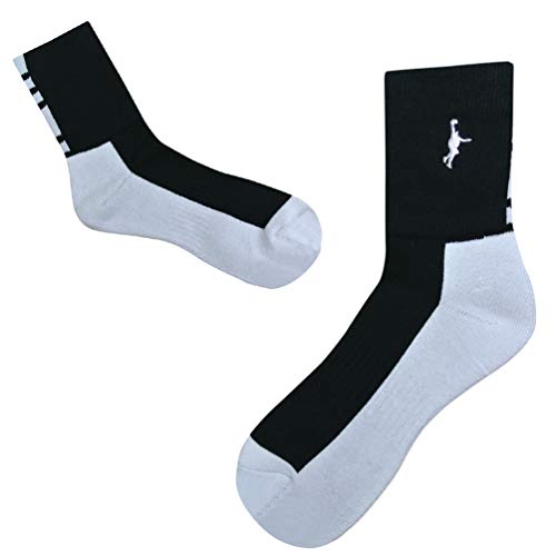 IN THE PAINT(インザペイント) パネルソックス ITP860B 1001 ブラック/ホワイト 22cm-25cm