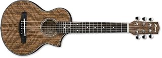 Ibanez EWP Series EWP14WB Electro-acoustic guitar -Open Pore Natural