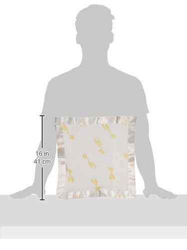 aden by aden + anais Issie Security Blanket, Super Soft 100% Cotton Muslin, 2 Pack, Olivia - Giraffe