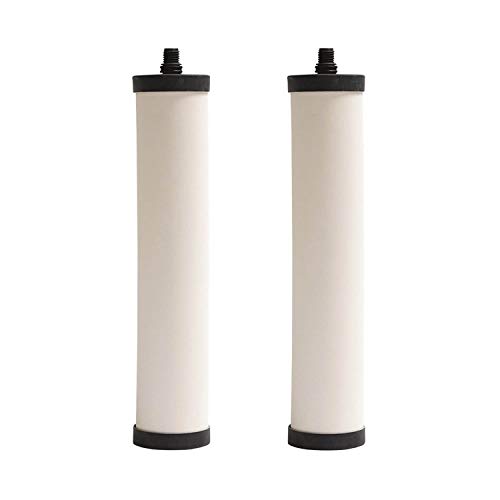 Franke Undersink Water Filtration Chlorine Removal for FRX Canisters (2 Pack)
