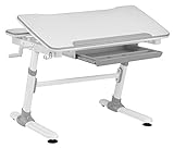 Die Oberfläche der Arbeitsplatte und anderer Elemente besteht aus feuchtigkeitsbeständigen, kratzfesten und leicht zu reinigenden Materialien. Die geneigte Tischplatte kann in einer bestimmten Position verriegelt werden, um eine unbefugte Bewegung zu verhindern (