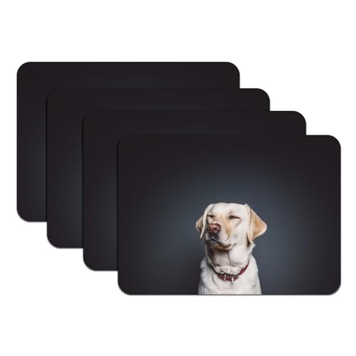 Set de table antidérapant Labrador pour protéger votre table des taches
