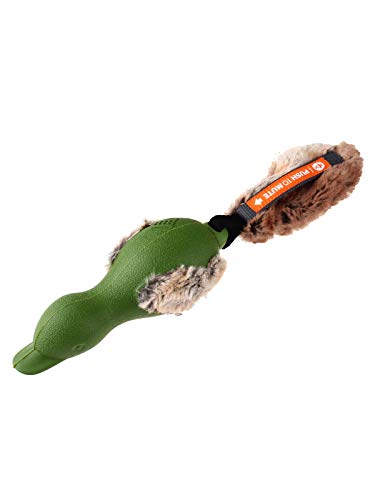 GiGwi Gummi-Ente Hundespielzeug 'Push to Mute' leise und quietschendes Spielzeug interaktiv mit Plüschschwanz - Grün