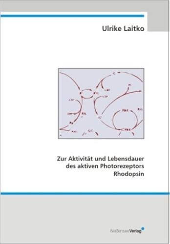 Aktivität und Lebensdauer des aktiven Photorezeptors Rhodopsin