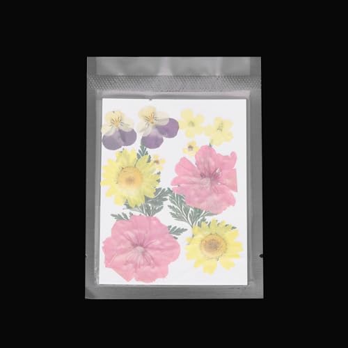 Flores prensadas secas multicolor para manualidades miniatura 4
