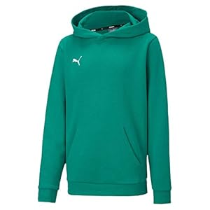 PUMA Unisex Kinder, teamGOAL 23 Casuals Hoody Jr Hoodie, Pepper Green, 152