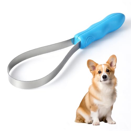 Lame double face pour chien : brosse en acier inoxydable et poignée souple anti-poils