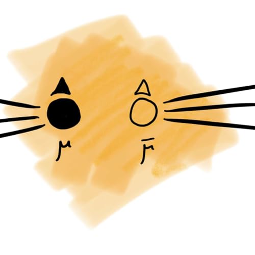 Bonus : The Physics of Muon Colliders