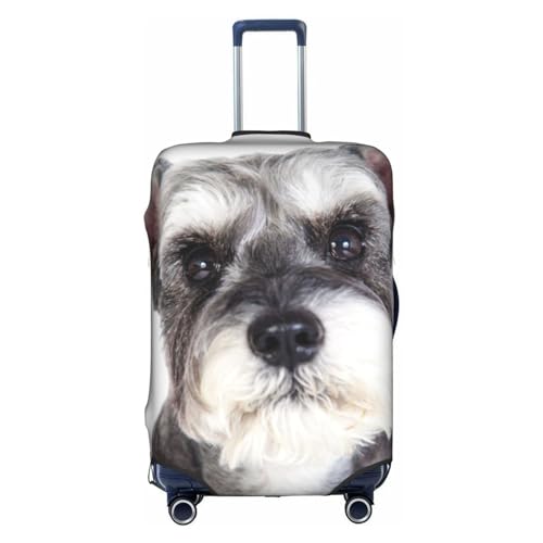 [NEKKII] ViEU[  QbWJo[ X[cP[XJo[ gx_XgJo[ L[Jo[ X[cP[XیJo[ gN Jo[ hoJo[ Lkf ʋCh h~ s