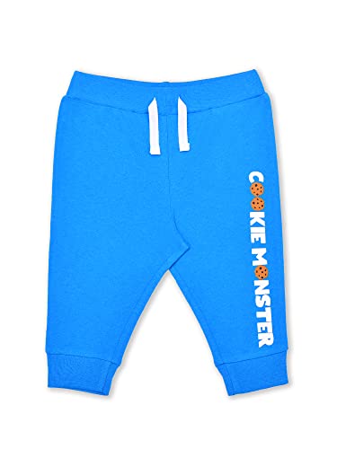 Sesame Street Cookie Monster Baby Boys Bodysuit and Pants Set for Newborn and Infant4