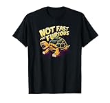 Turtle Not Fast Just Furious
