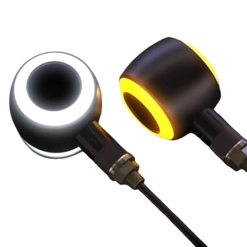 Feux arrière clignotants pour moto 12V à haute luminosité pour signaler avec puissance