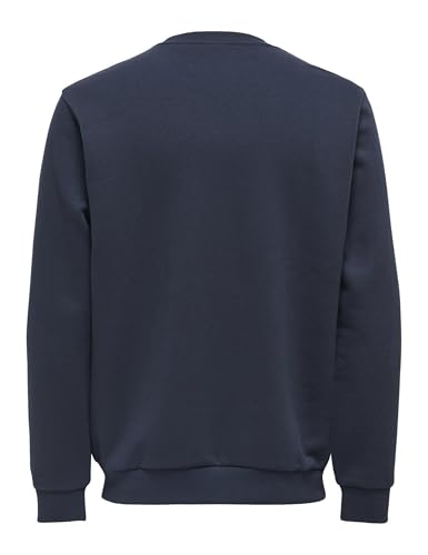 ONLY & SONS Onsceres Crew Neck Noos
