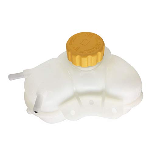 Radiator Coolant Recovery Overflow Tank Bottle With Cap For 2007-2011 Chevrolet Aveo For 2009-2011 Chevrolet Aveo5 For 2009 Pontiac G3 For 2009 Pontiac G3 Wave 96930818 #TOP1