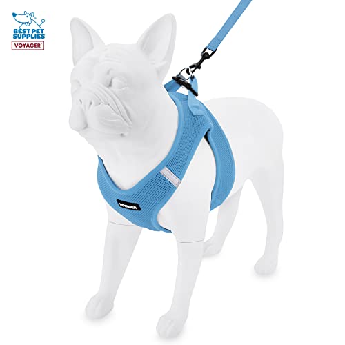 Image of Voyager Step-in Air All Weather Mesh Harness and Reflective 5 ft Dog Leash with Neoprene Handle for Small, Medium and Large Breed Puppies by Best Pet Supplies - Baby Blue Base, S
