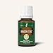 Dragon Time 15 ml Essential Oil by Young Living – Balancing & Soothing Aroma for Comfort and Relaxation – Sweet Natural Scent
