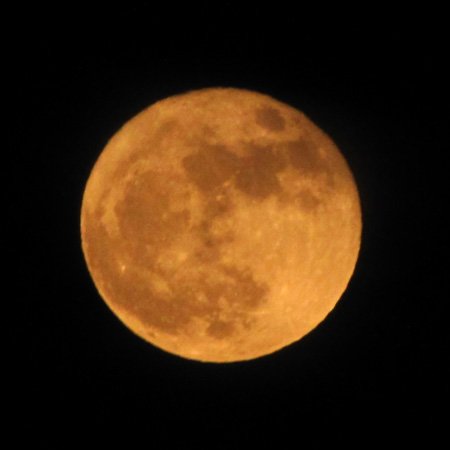 Amazon.com : 3dRose fl_18544_1 Big Yellow Moon Full and Bright