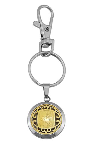 Hanessa Schlüsselanhänger personalisiert Sternzeichen Schütze | Schlüsselanhänger mit Gravur Edelstahl Gold | Personalisierte Geschenke für Mama Papa | Schlüssel Anhänger Text Name Datum