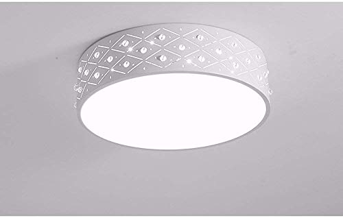 Plafond extérieur moderne LED pour remplacer un éclairage faible de restaurant 24W - 3