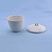 100 mL Porcelain Crucible with Lid