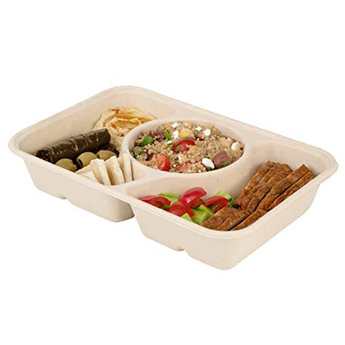 Restaurantware Pulp Tek 31.3 Ounce To Go Containers 100 Sustainable