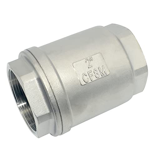 Megairon 2 inch check valve