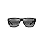 Black Gloss/Neutral Grey Polarized