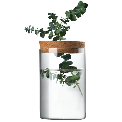 Clear Glass Planter Vase with Wooden Lid and Bamboo...