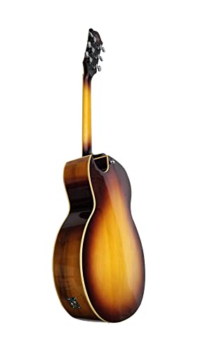 Iyv IJZ-500 NA 6 String Semi-Hollow-Body Electric Guitar thumb #5